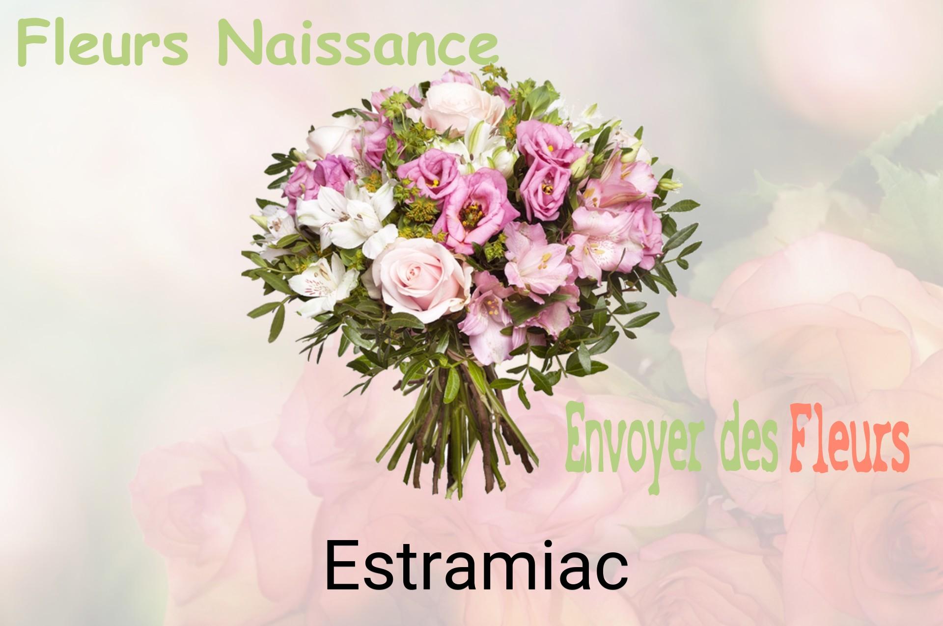 Bouquet de fleurs de naissance livré à Estramiac