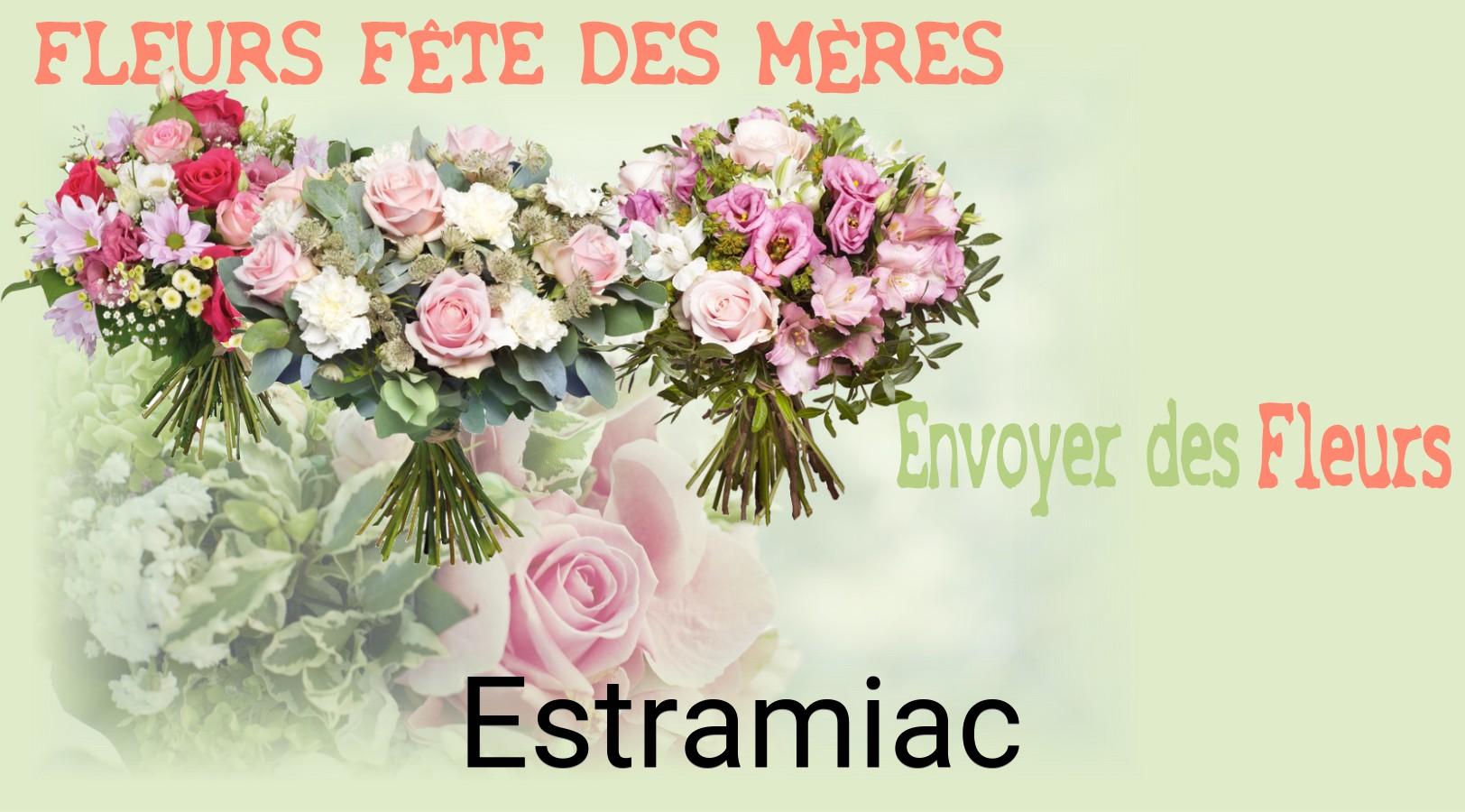 Bouquet de Fête des Mères livré à Estramiac